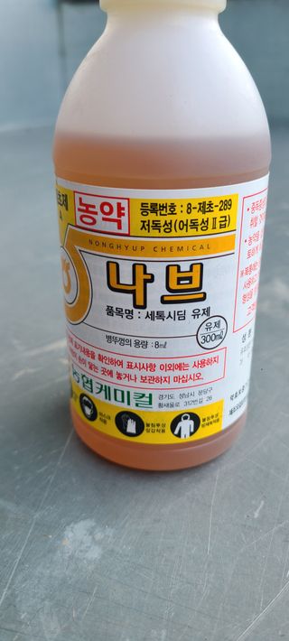 정희조님의 자유주제 · 자유게시판 작성글 사진