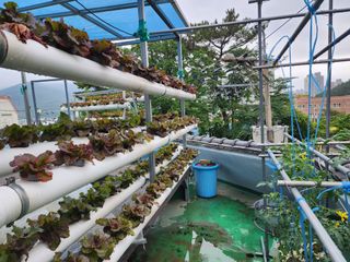 전병대님의 내 농사 경력 자랑하기 · 참여 작성글 사진