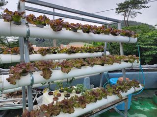 전병대님의 내 농사 경력 자랑하기 · 참여 작성글 사진