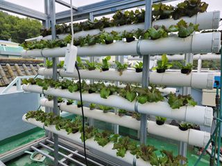 전병대님의 내 농사 경력 자랑하기 · 참여 작성글 사진