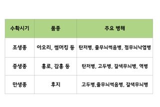 알 수 없음님의 팜모닝공식 · 농사정보 작성글 사진