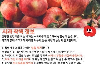알 수 없음님의 팜모닝공식 · 농사정보 작성글 사진