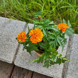 (주)누보님의 작성글 사진