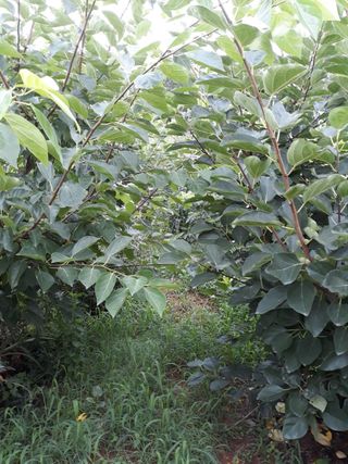 정상훈님의 기타작물 · 자유게시판 작성글 사진