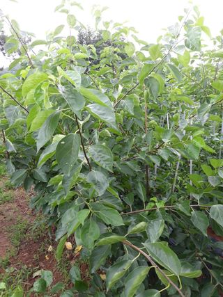 정상훈님의 기타작물 · 자유게시판 작성글 사진