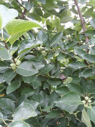 정상훈님의 기타작물 · 자유게시판 작성글 사진