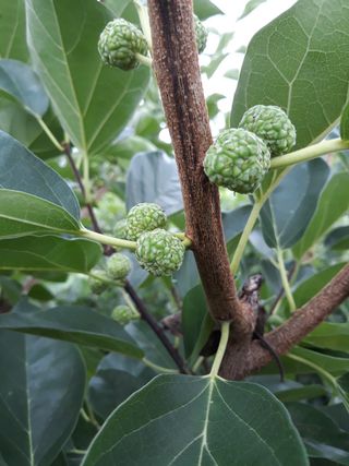 정상훈님의 기타작물 · 자유게시판 작성글 사진