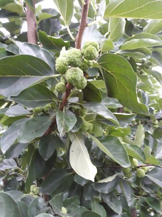 정상훈님의 기타작물 · 자유게시판 작성글 사진