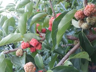 정상훈님의 기타작물 · 자유게시판 작성글 사진