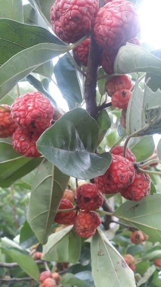 정상훈님의 기타작물 · 자유게시판 작성글 사진