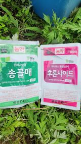 팜모닝 사과·비료•농약 게시글 이미지