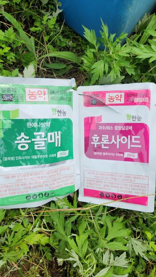 제부도그린농원님의 사과 · 비료•농약 작성글 사진