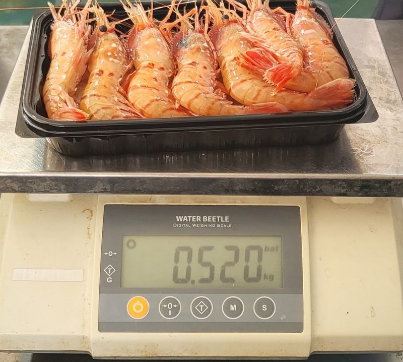 모어더더님의 장터 판매 상품 [국내산 최고급 독도새우 도화새우] 첨부 사진