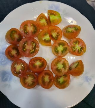 미강님의 토마토 · 일상 작성글 사진