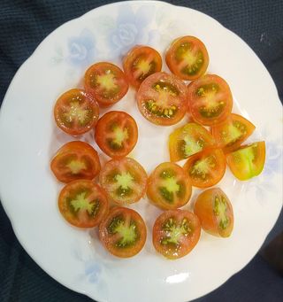 미강님의 토마토 · 일상 작성글 사진