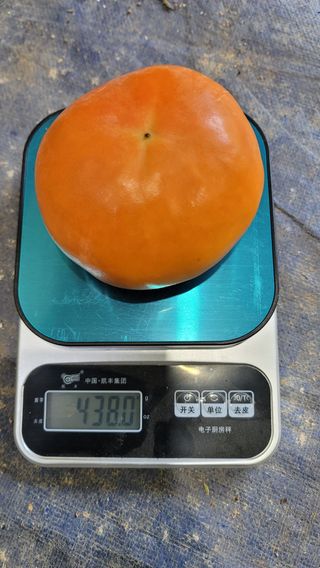 빈이네농장님의 내 농사 경력 자랑하기 · 참여 작성글 사진