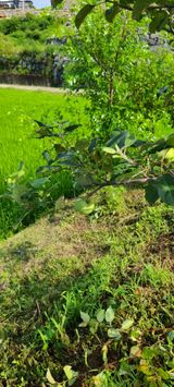 팜모닝 자유주제·사진전 게시글 이미지