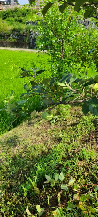 Mmebaik님의 자유주제 · 사진전 작성글 사진