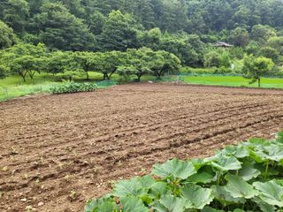 동해리님의 들깨 · 자유게시판 작성글 사진