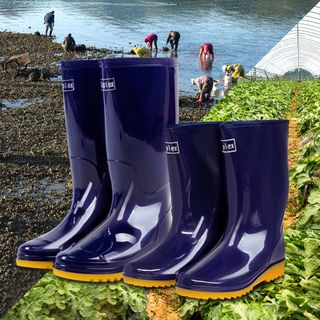 일꾼의탄생님의 작성글 사진