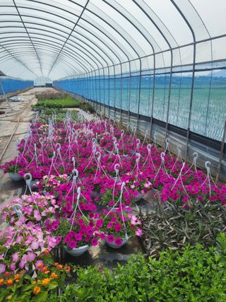 김은진님의 내 농사 경력 자랑하기 · 참여 작성글 사진