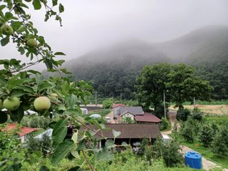 전락구님의 사과 · 영농일지 작성글 사진