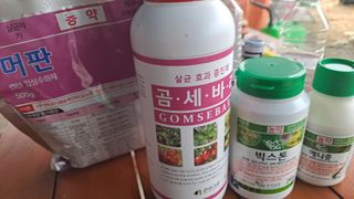 우대영님의 고추 · 비료•농약 작성글 사진