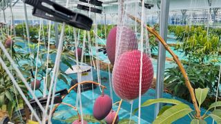 청주애플망고농장님의 자유주제 · 사진전 작성글 사진