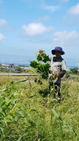 팜모닝 · 게시글 이미지