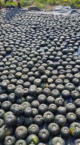 변창신님의 작성글 사진