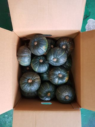 변창신님의 작성글 사진