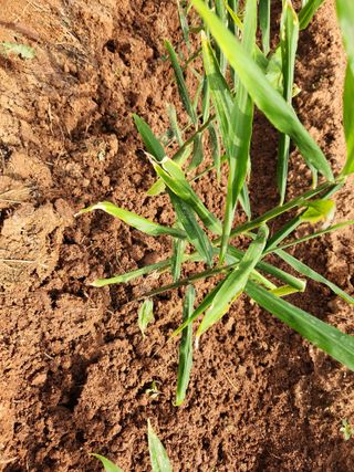 최승일님의 자유주제 · 자유게시판 작성글 사진