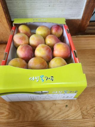 상훈사과자두벼님의 자두 · 자유게시판 작성글 사진