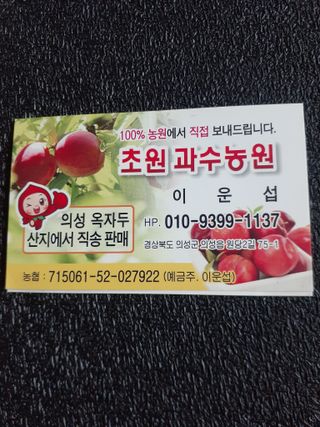 자두1137님의 자두 · 자유게시판 작성글 사진
