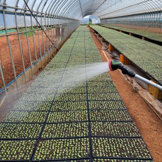 박효식님의 내 농사 경력 자랑하기 · 참여 작성글 사진