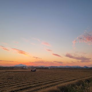 박효식님의 내 농사 경력 자랑하기 · 참여 작성글 사진