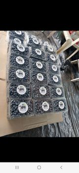 팜모닝 블루베리·자유게시판 게시글 이미지