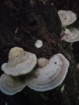 팜모닝 배·일상 게시글 이미지