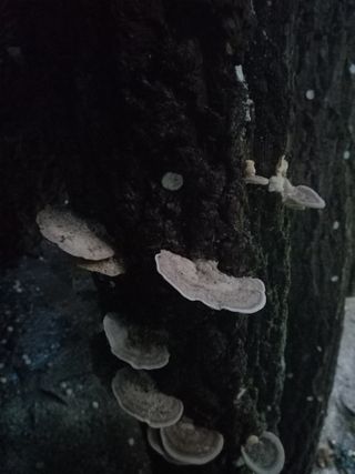 하예산방15926님의 배 · 일상 작성글 사진