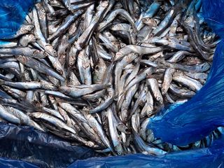 김기한님의 작성글 사진