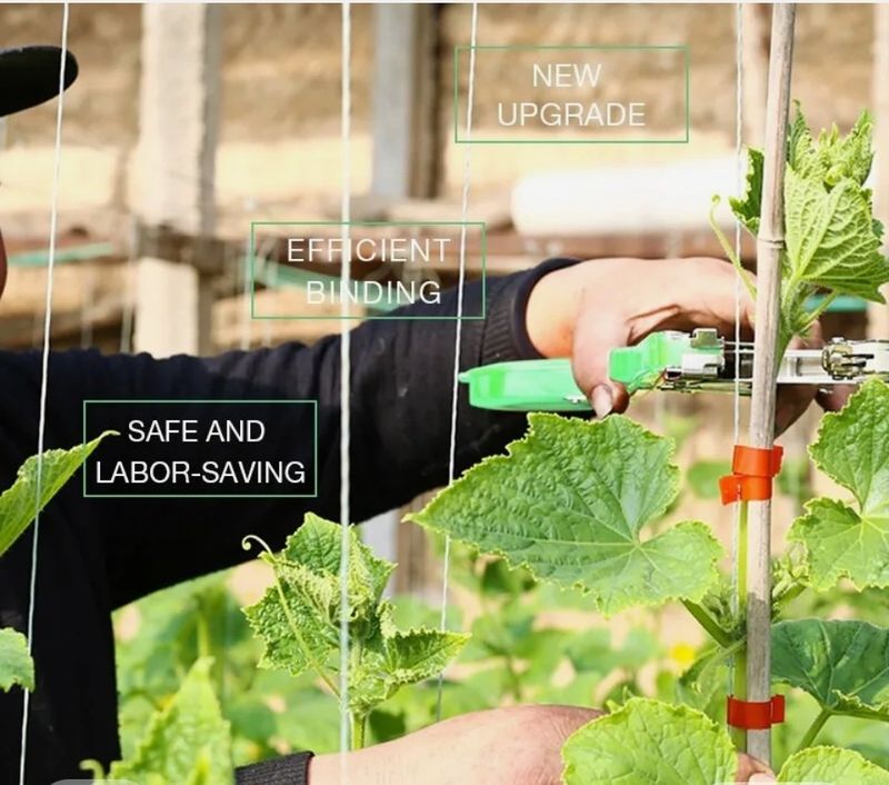 대산농사대장님의 장터 판매 상품 [식물 정원 식물 테이프 도구 테이퍼 및 롤 테이프
세트, 묶기 기계, ,
테이핑 10개
+ 스테이플러 심.  포함] 첨부 사진