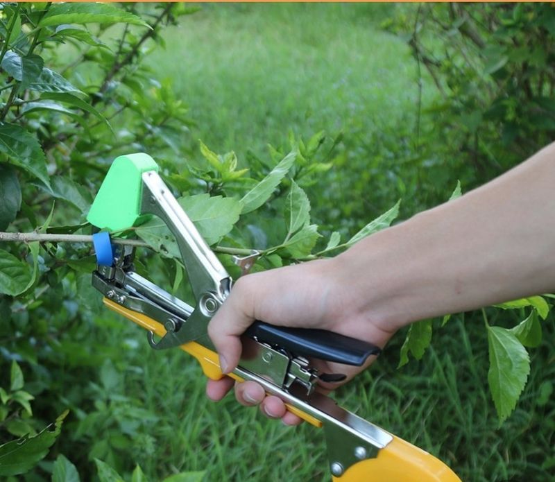 대산농사대장님의 장터 판매 상품 [식물 정원 식물 테이프 도구 테이퍼 및 롤 테이프
세트, 묶기 기계, ,
테이핑 10개
+ 스테이플러 심.  포함] 첨부 사진
