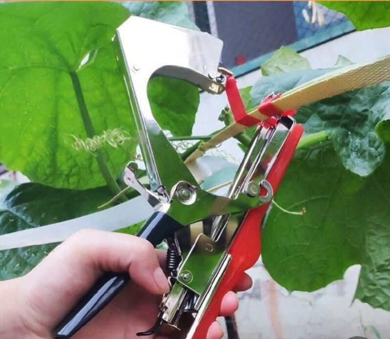 대산농사대장님의 장터 판매 상품 [식물 정원 식물 테이프 도구 테이퍼 및 롤 테이프
세트, 묶기 기계, ,
테이핑 10개
+ 스테이플러 심.  포함] 첨부 사진