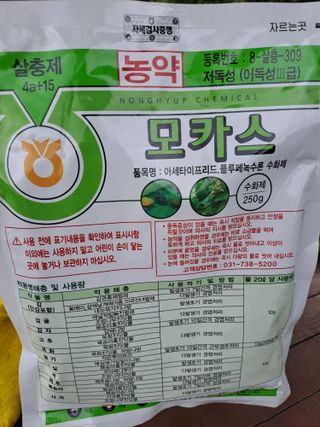 시골농부님의 감 · 자유게시판 작성글 사진