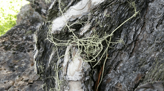 강미화님의 장터이야기 · 자유게시판 작성글 사진