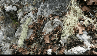 강미화님의 장터이야기 · 자유게시판 작성글 사진