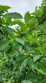 팜모닝 기타작물·자유게시판 게시글 이미지