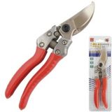 팜모닝 · 게시글 이미지