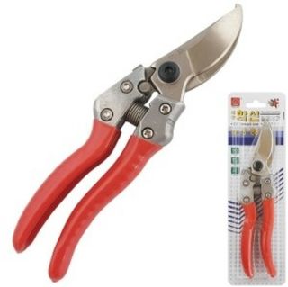 대산농사대장님의 작성글 사진