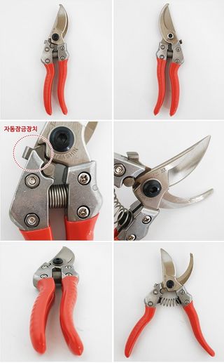 대산농사대장님의 작성글 사진